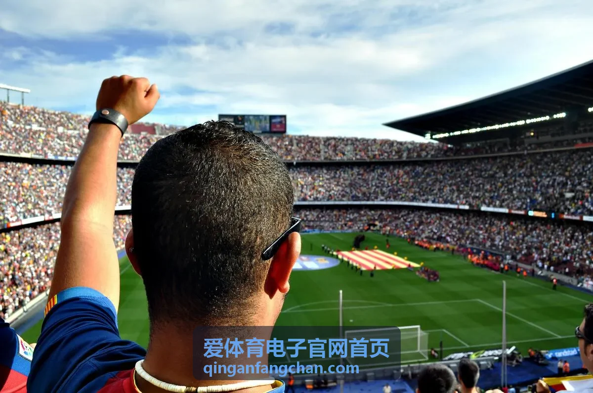 爱体育电子官网首页热销的智能运动手环 Pro 多参数监测款