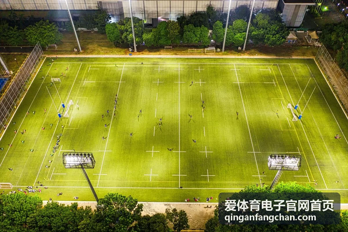 爱体育电子官网首页在售的运动康复电刺激仪